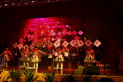 UniStrong��������Ƭ����